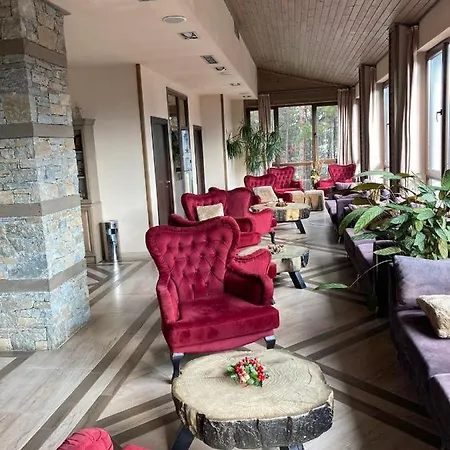 ホテル Panorama