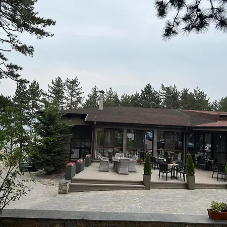 Panorama * Welingrad