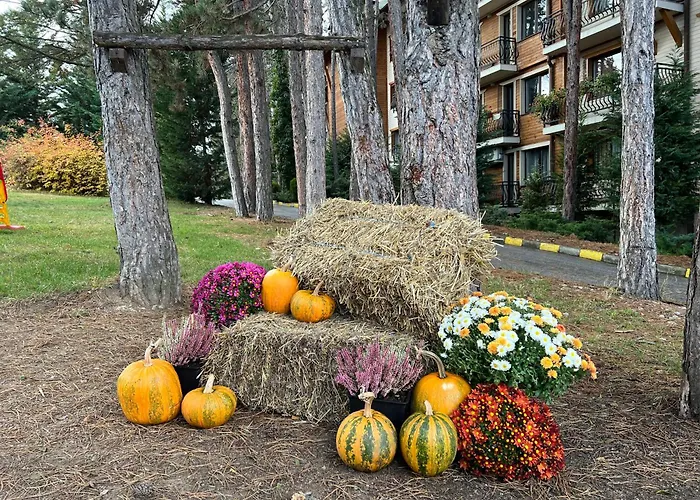 Хотел Panorama *